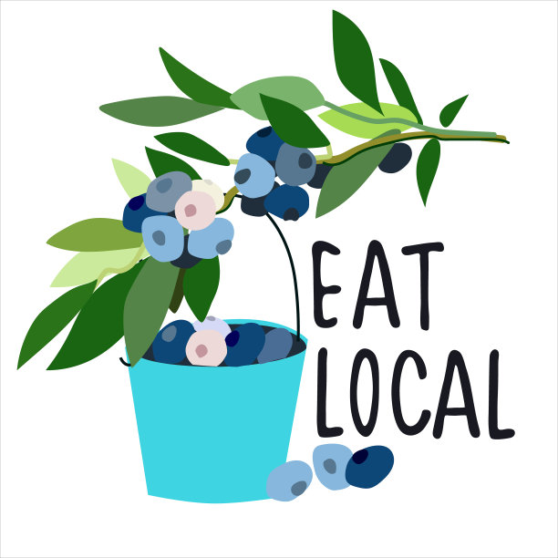 食用本地食材概念。采摘概念。蓝莓和水桶矢量抽象扁平风格插图图片下载