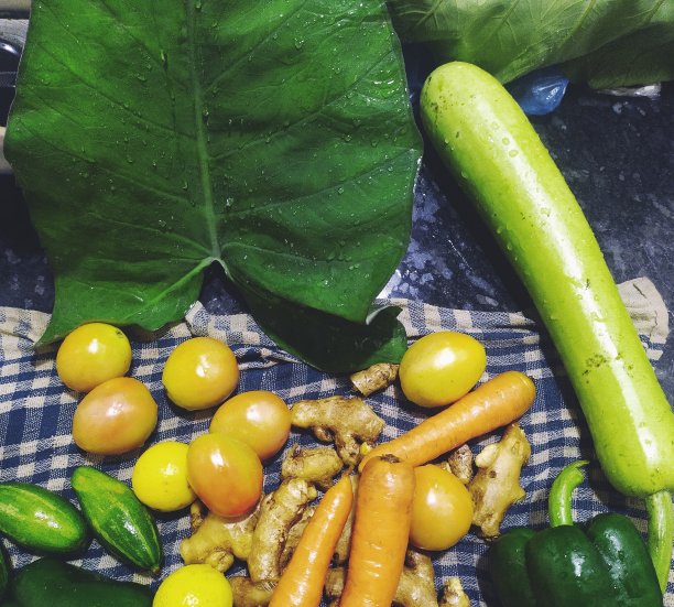 新鲜蔬菜，纯素食者只吃蔬菜和水，来自花园。图片下载