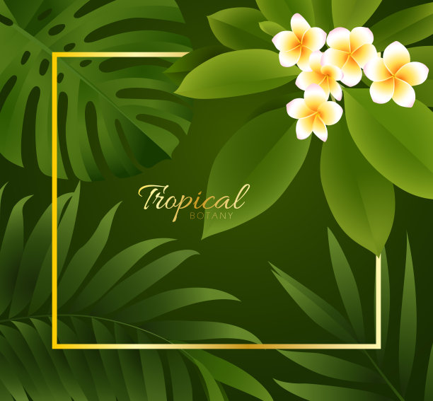 矢量设计与异国情调的棕榈叶和彩色鸡蛋花在黑暗的背景图片下载