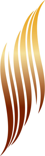 头发象征图标图片下载