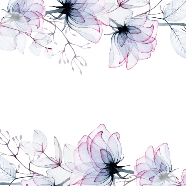 矩形水彩框架与透明的花。透明的玫瑰花和桉树叶，用x射线照射。用于婚礼装饰，卡片，请柬的复古边框。香水和化妆品设计图片下载