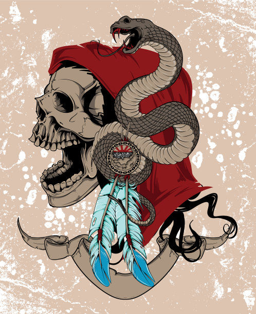 本地女性头骨图片下载