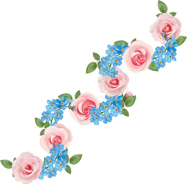 玫瑰,勿忘我图片下载