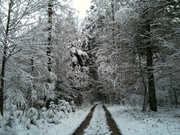 下雪的冬天图片下载