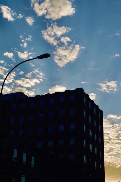 公园里的日落图片下载