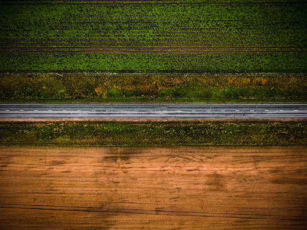 沥青路穿过农田图片下载