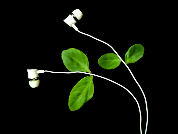 线和叶抽象图片下载