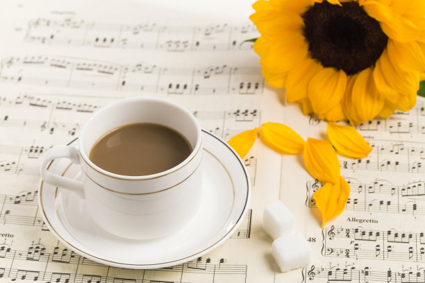 乐谱上有向日葵和咖啡图片下载