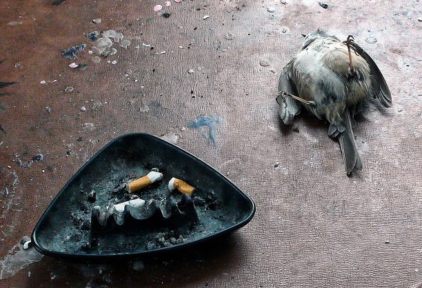 因吸烟而死亡图片下载