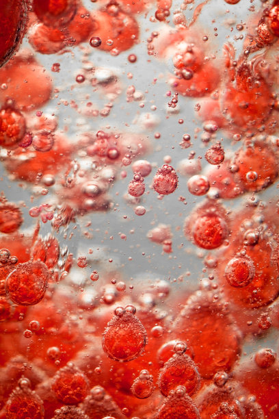 红细胞图片下载