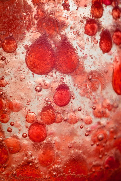 红细胞图片下载