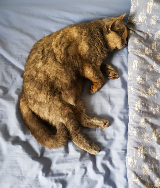 在玩了一整天之后…图片下载