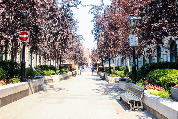 蒙特利尔图片下载