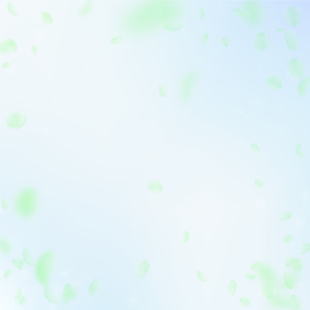 绿色花瓣飘落流行浪漫图片下载