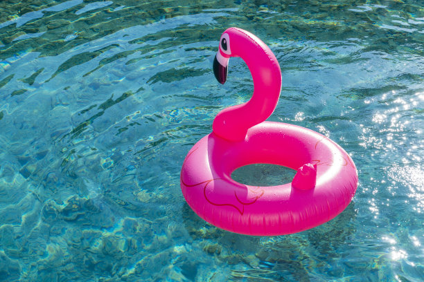 膨胀的粉红色火烈鸟和海里的可爱女人。图片下载