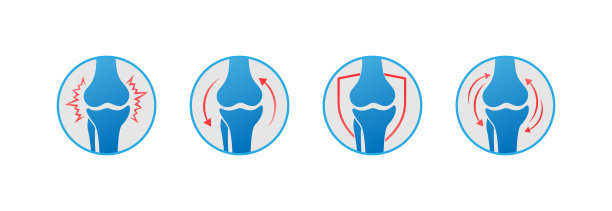 膝盖的骨头向量。人体骨骼和关节图标集。风湿病学和创伤学，病媒设计和说明。图片下载