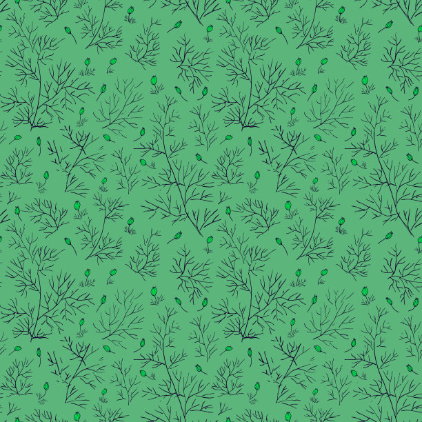 茴香叶和种子在石灰背景图片下载