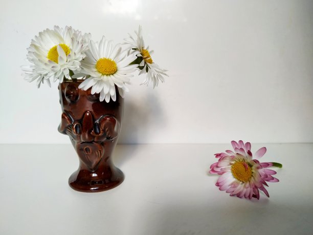 花式花瓶里的白色雏菊图片下载