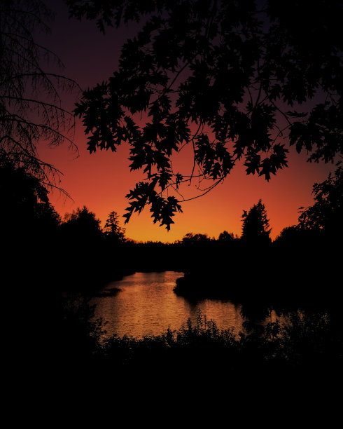 特威格图片下载