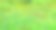 鲜花草甸。图片下载