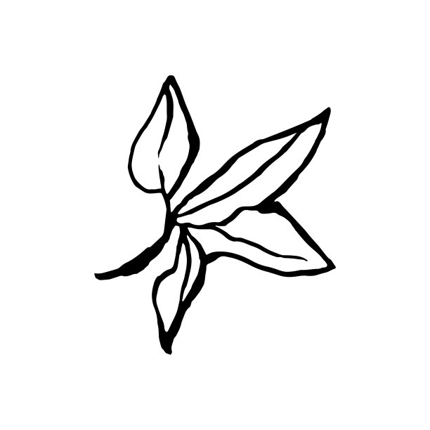 可爱的手绘单叶樱花元素。传统的日本或中国水墨风格的春花。涂鸦樱桃植物。图片下载