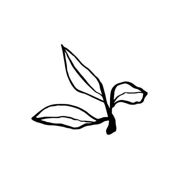 可爱的手绘单叶樱花元素。传统的日本或中国春花水墨风格。涂鸦樱桃。图片下载