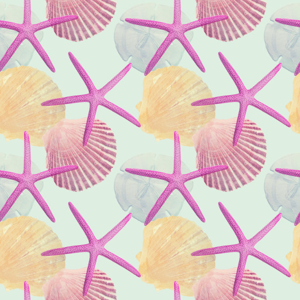 无缝设计，以海贝和海星为背景图片下载