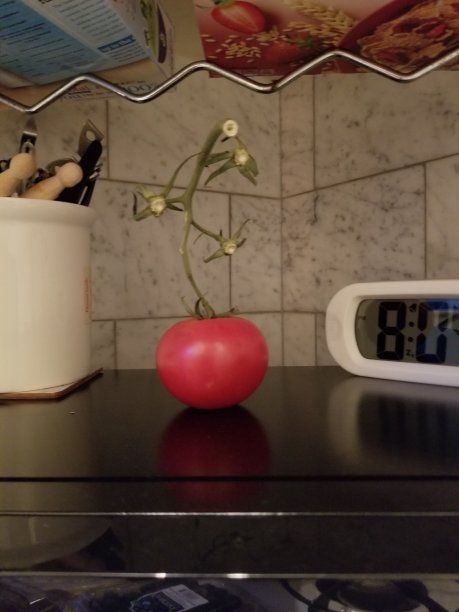 番茄和时钟图片下载