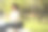 女学生用手机，坐在公园里图片下载