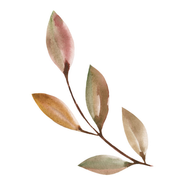 水彩画的秋天的树枝和树叶在一个白色的背景。秋天的色彩，自然的元素，季节的装饰，树的一部分。图片下载