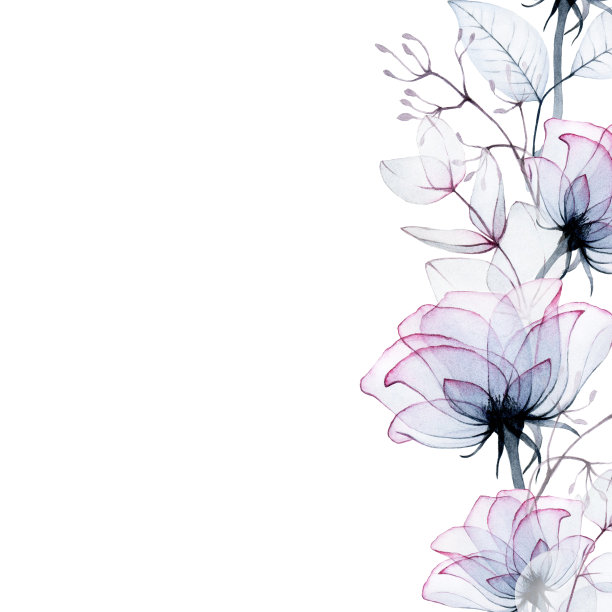 水彩画，边框，边框用透明的花。透明的玫瑰花和桉树叶子，色彩柔和。粉色,蓝色,紫色。设计婚礼，卡片，请柬，香水图片下载