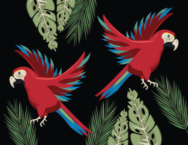 野生热带鹦鹉鸟类动物在丛林的景象图片下载