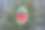 人行道上有一块涂了漆的登山石，供路人观看图片下载