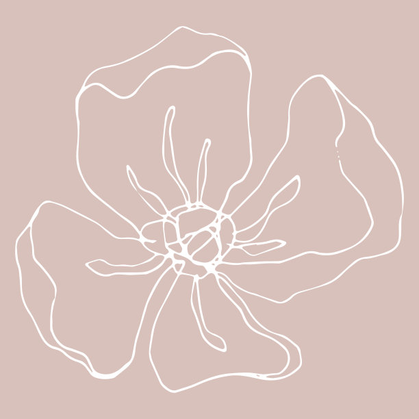 极简主义卡片花卉艺术设计。精致的复古海报图片下载