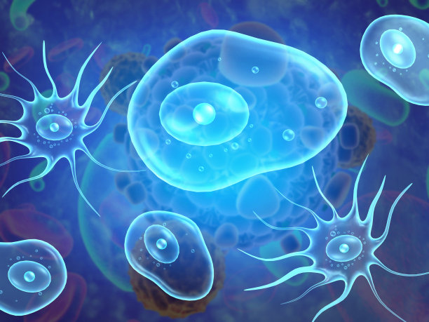 变形虫与细菌图片下载