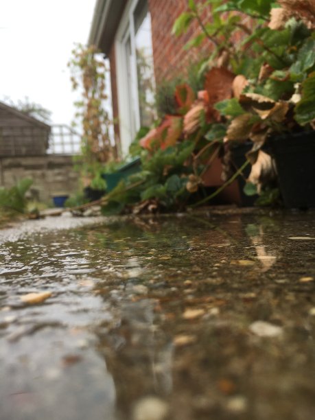 雨下在小路上图片下载