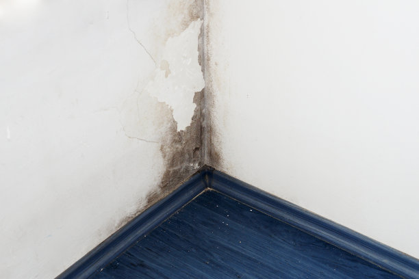 角落的墙上有黑霉图片下载