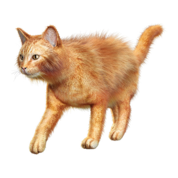 3D插图幻想龙在白色图片下载