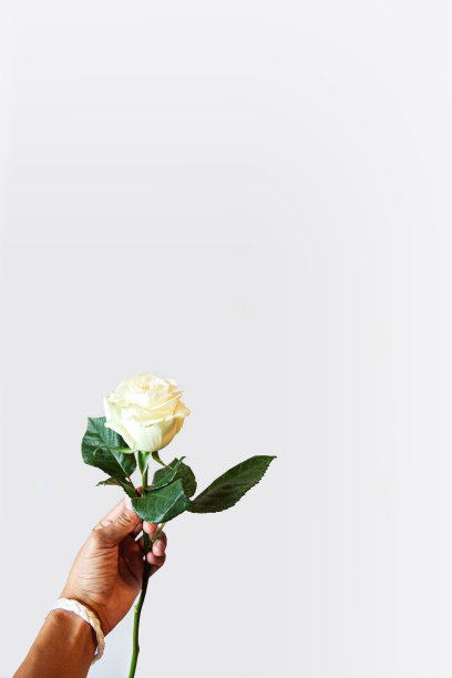 白俄罗斯抗议的概念。图片下载