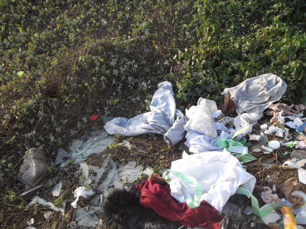 垃圾倾倒在绿色区域图片下载