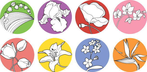 集春花野花蝴蝶花图片下载