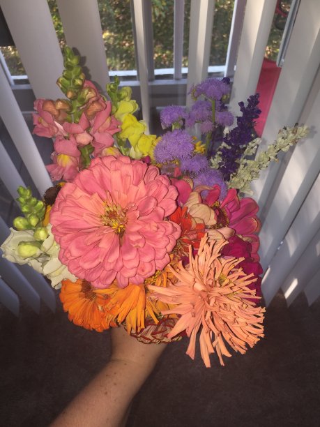 精心挑选的花束图片下载