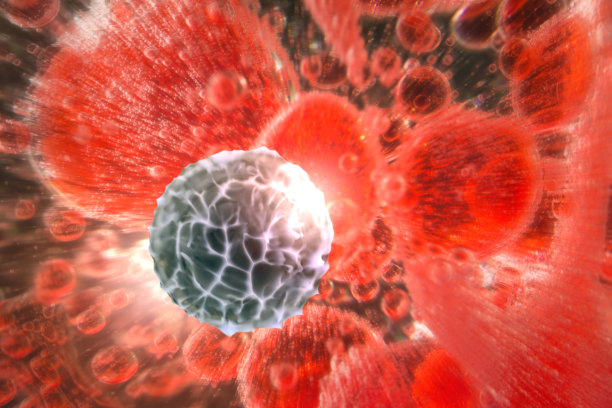 红细胞图片下载