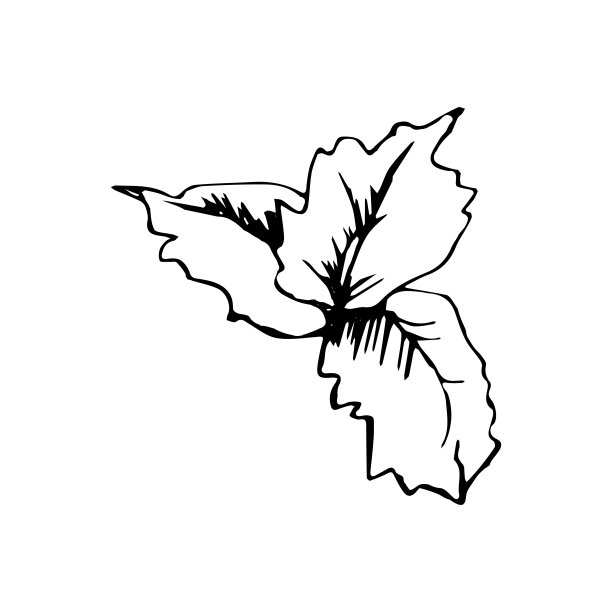 可爱的单手薄荷鸡尾酒装饰。为菜单或食谱。矢量图，孤立的白色背景图片下载