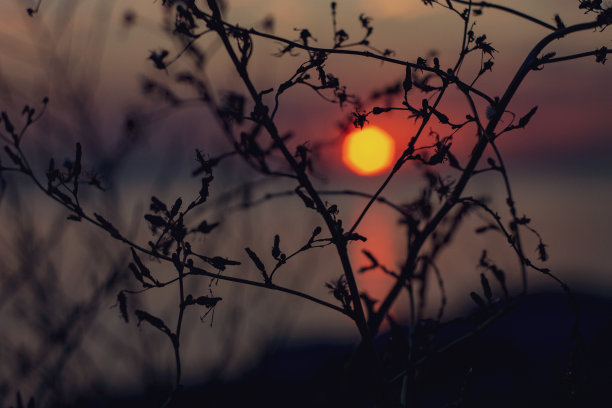 风景情感落日观图片下载