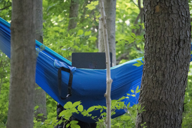 学生在树林里图片下载