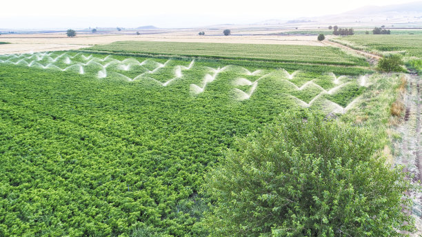 有机农业鸟瞰图图片下载