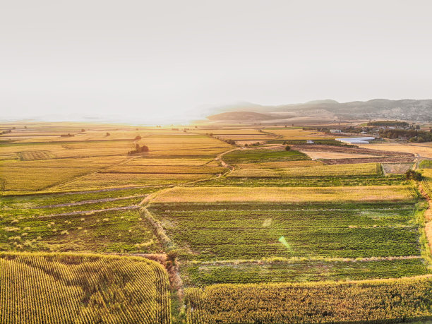 有机农业鸟瞰图图片下载