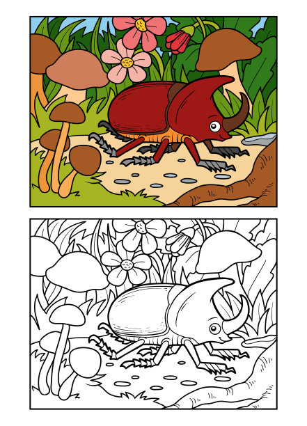 儿童涂色书，草地上的犀牛甲虫图片下载