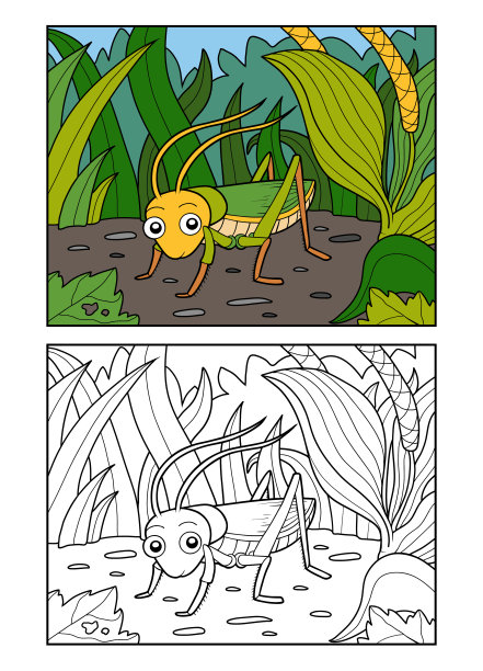 涂色书，草地上的蚱蜢图片下载